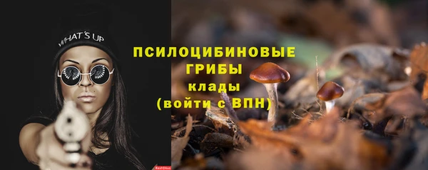 спиды Белокуриха