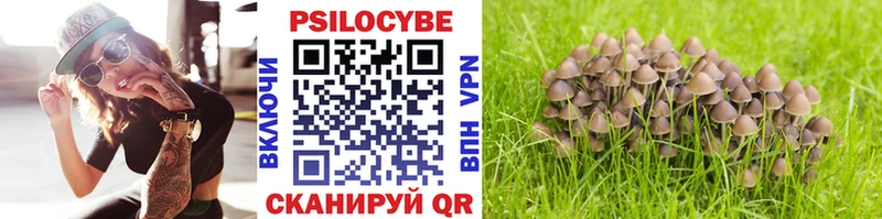 сколько стоит  Власиха  Галлюциногенные грибы Magic Shrooms 